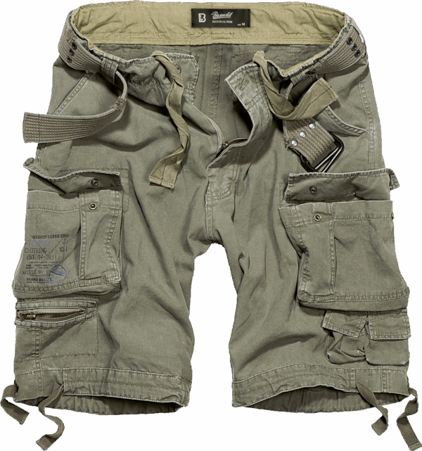 Savage Vintage Shorts