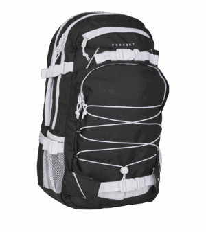 Forvert Ice Laptop Louis Backp