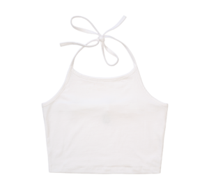 Women Neckholder Top